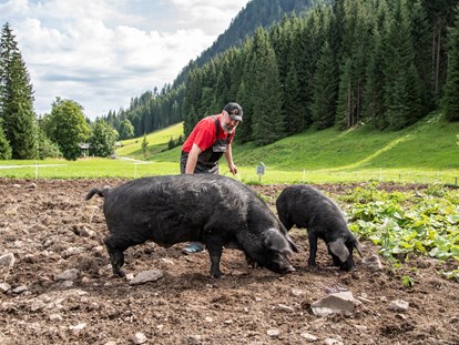 Naturhotel - Jeremias Riezler und seine kleine Alpschwein Zucht - Biohotel Walserstuba