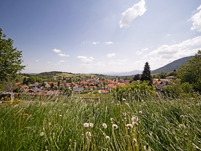 Naturhotel - Urlaub im Herzen der Ammergauer Alpen. - moor&mehr Bio-Kurhotel